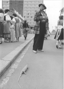 Fotografie